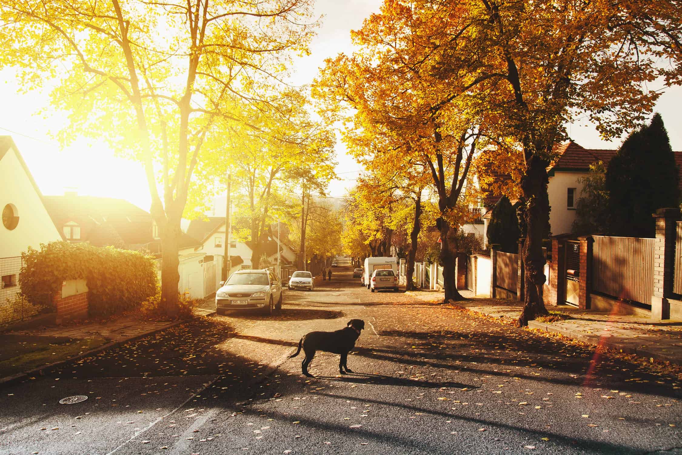 Ontario, Mississauga, weather, Environment Canada, forecast, sunny, warm, temperatures, wind