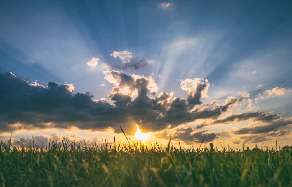 July 24 weather: Sunny skies with high that feels like 30 C in southern Ontario