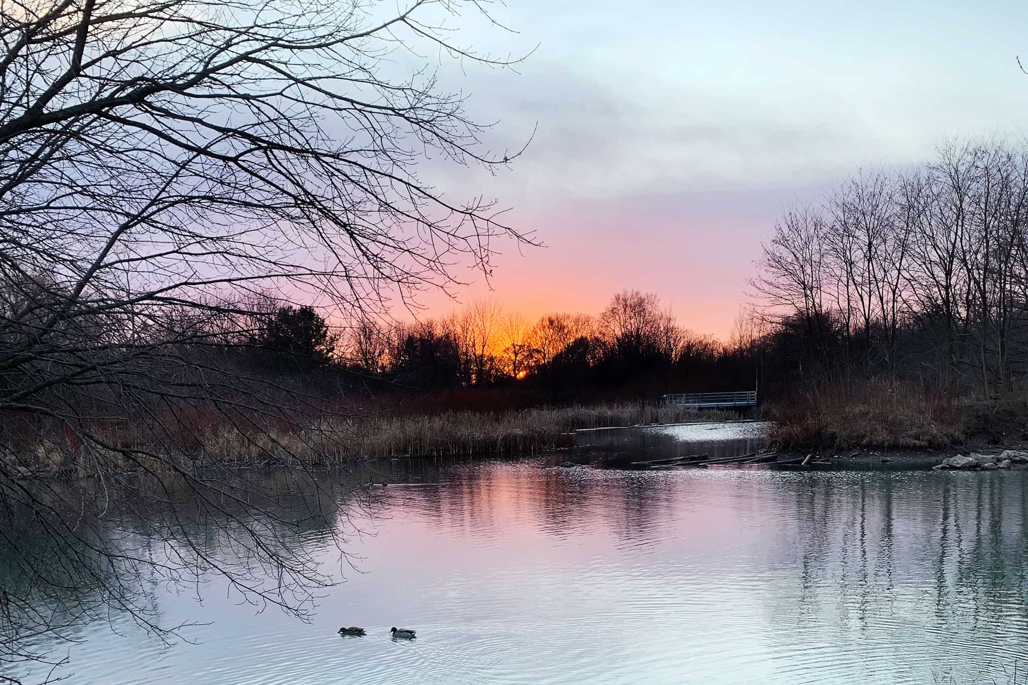 Nov. 9 weather: Sunny skies to start the weekend with rain on the way in southern Ontario