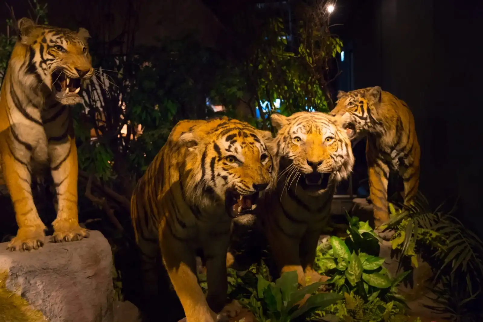 stuffed tigers