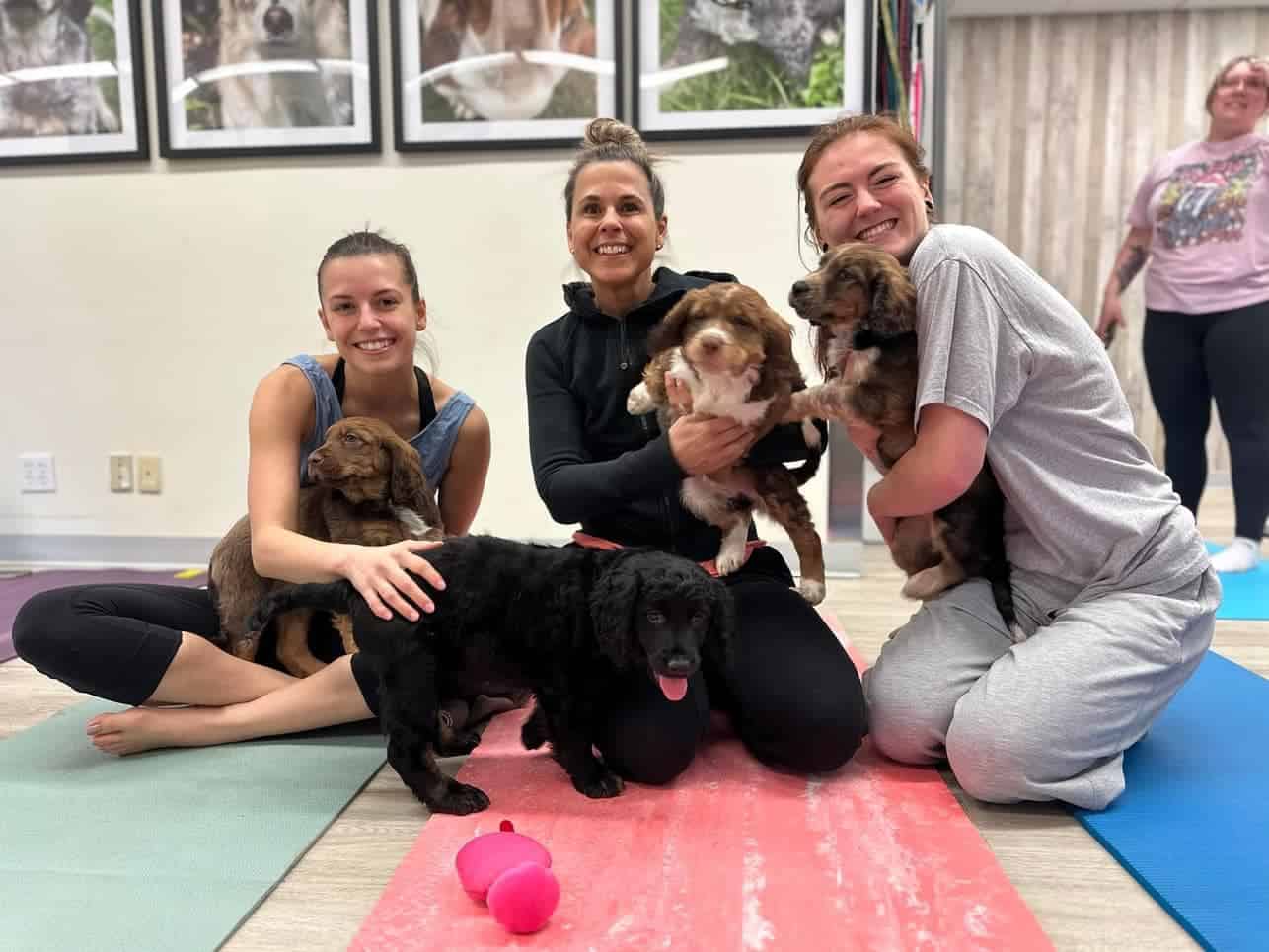 puppy yoga animal shelters ontario oshawa whitby canada