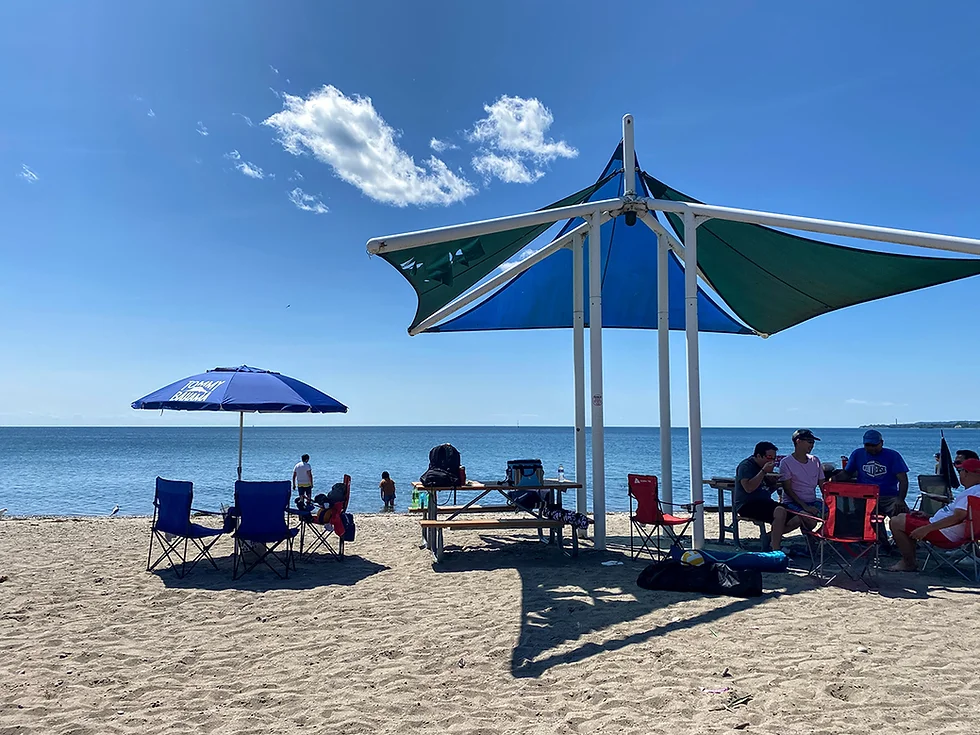 Frenchman's Bay Beach