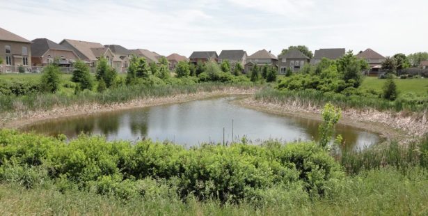 Avalon Court pond in Oshawa's Kedron neighbourhood