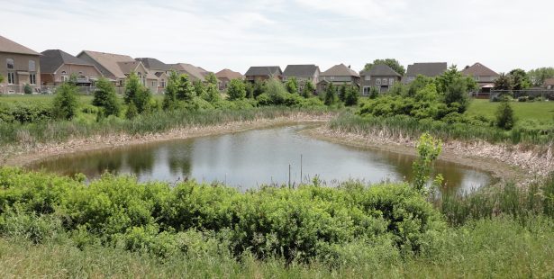 Avalon Court pond, Oshawa