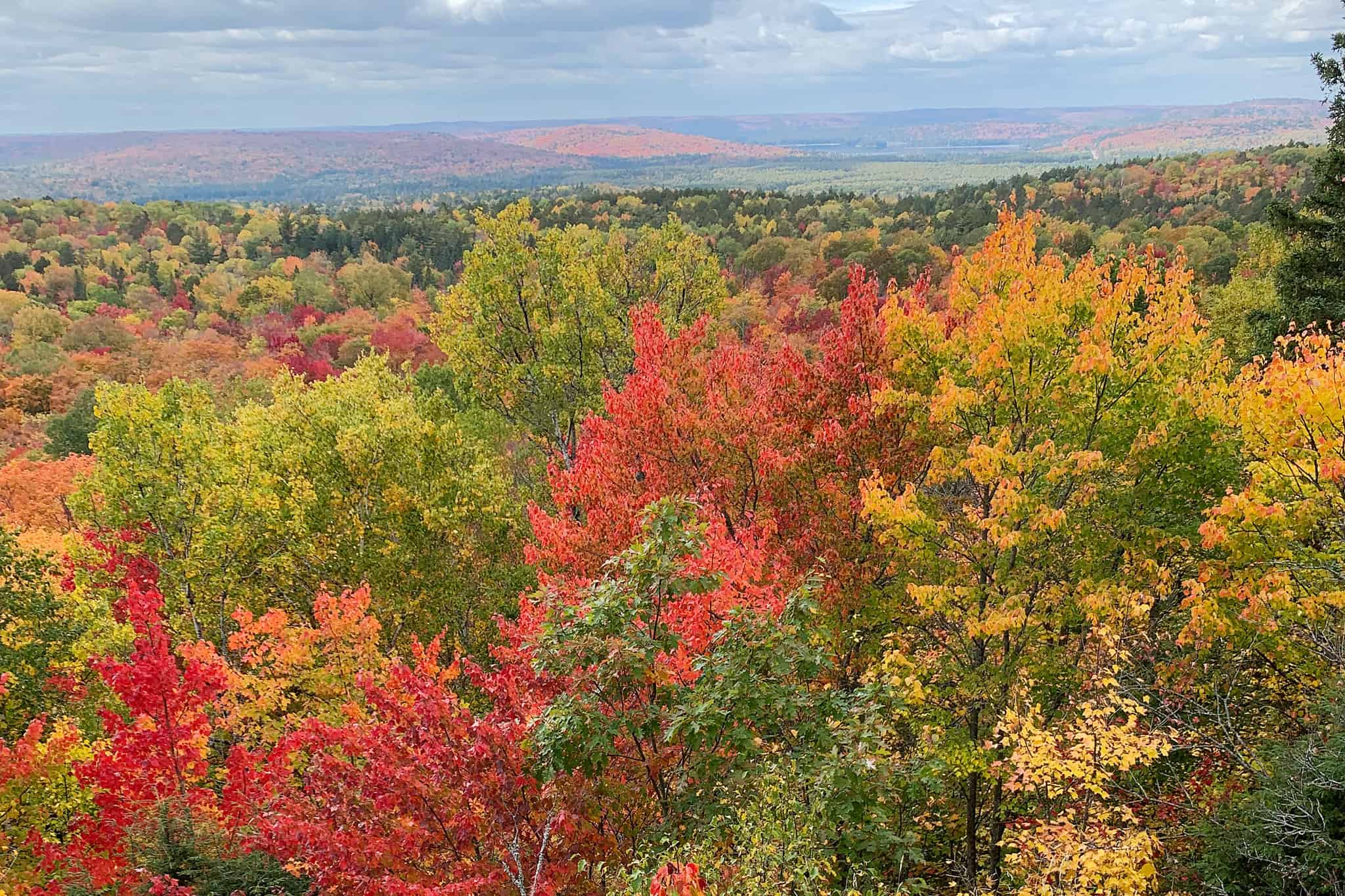 fall colours ontario 2024