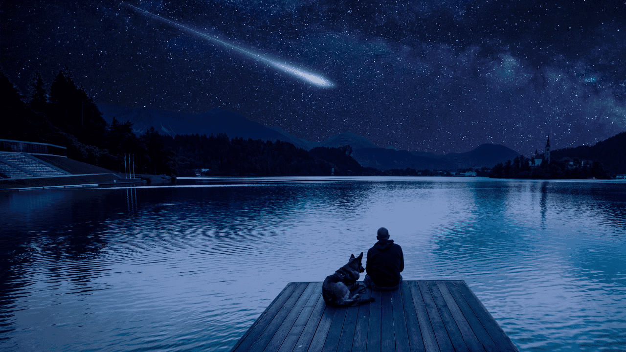 meteor, shower, sky, astronomy, lights, space, telescope, shooting, stars, night, Ontario.