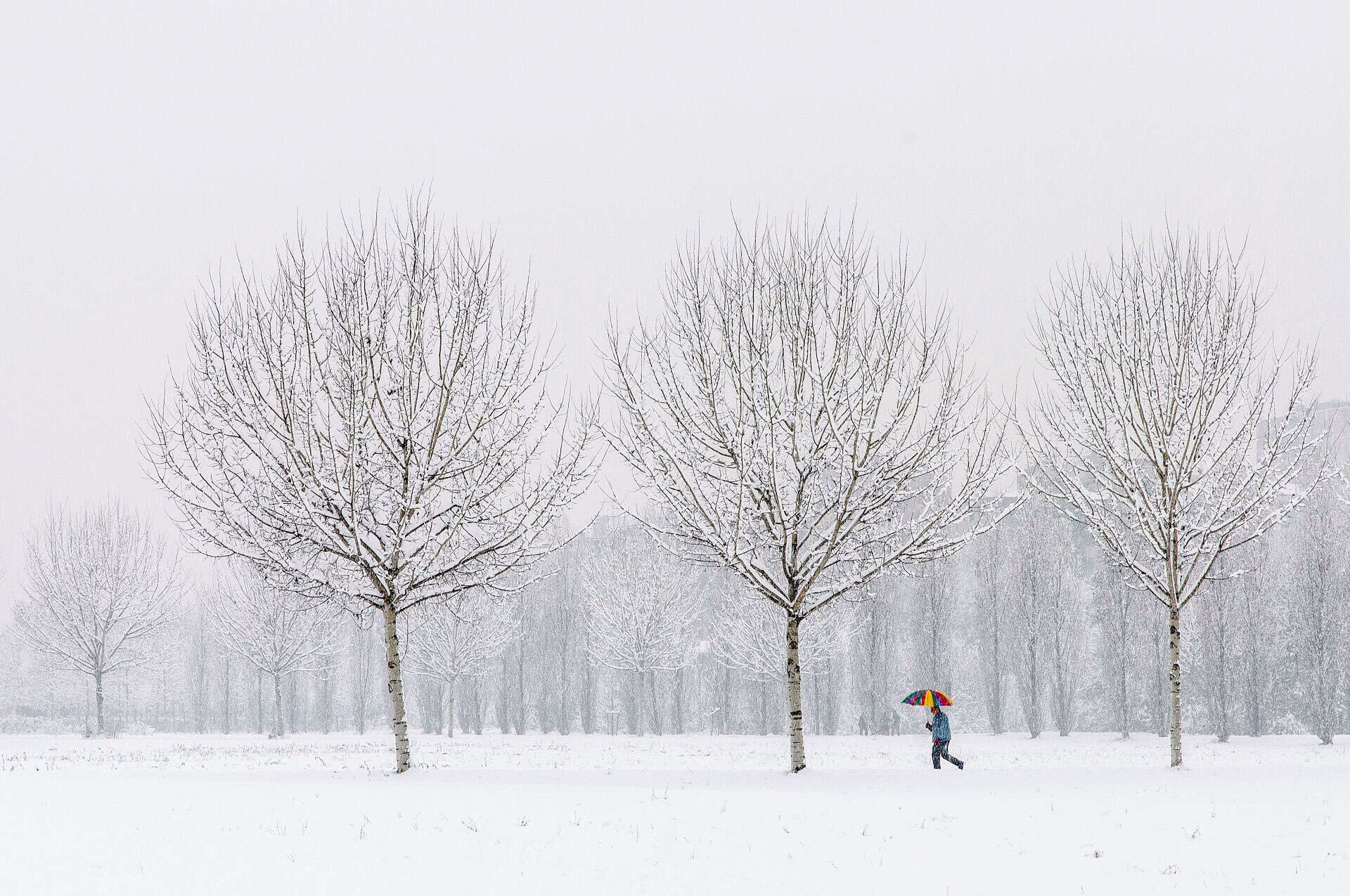 snow gta ontario