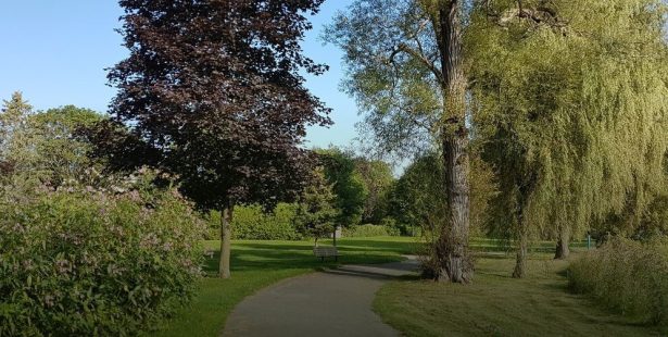 Soper Creek Trail