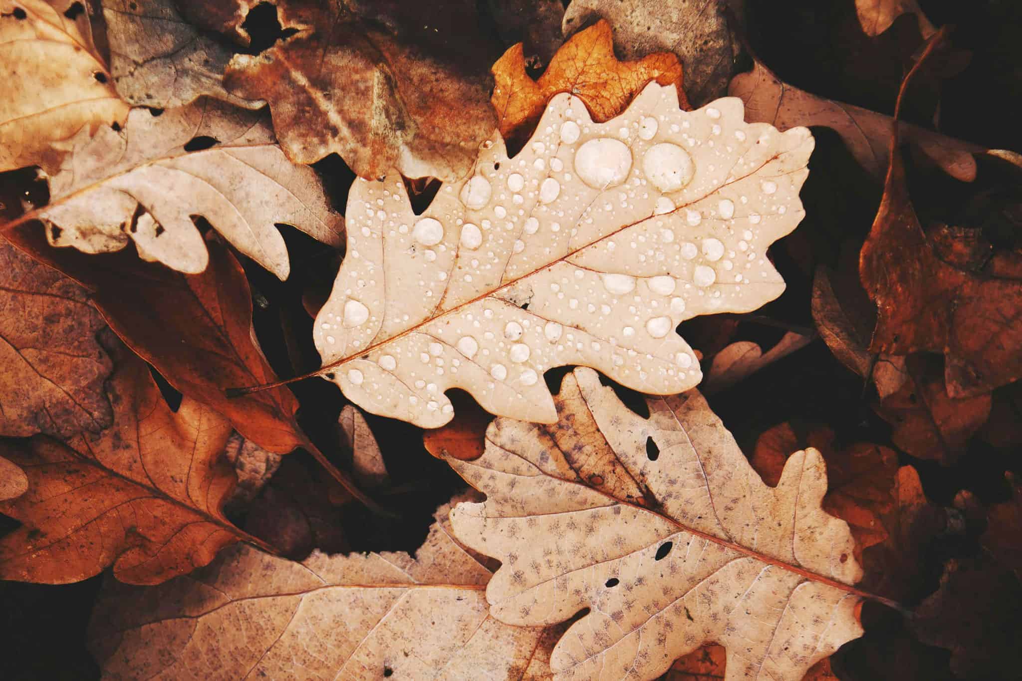 weekend weather nov 9 ontario