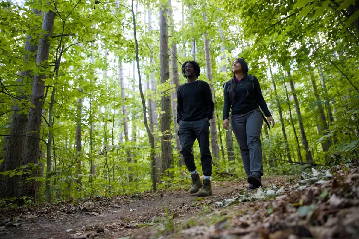 Uxbridge Urban Provincial Park growing by 23 acres