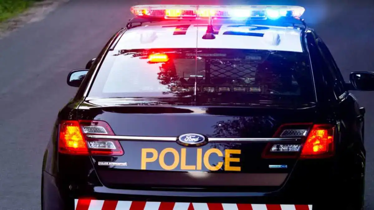 opp ontario brampton driver mississauga toronto