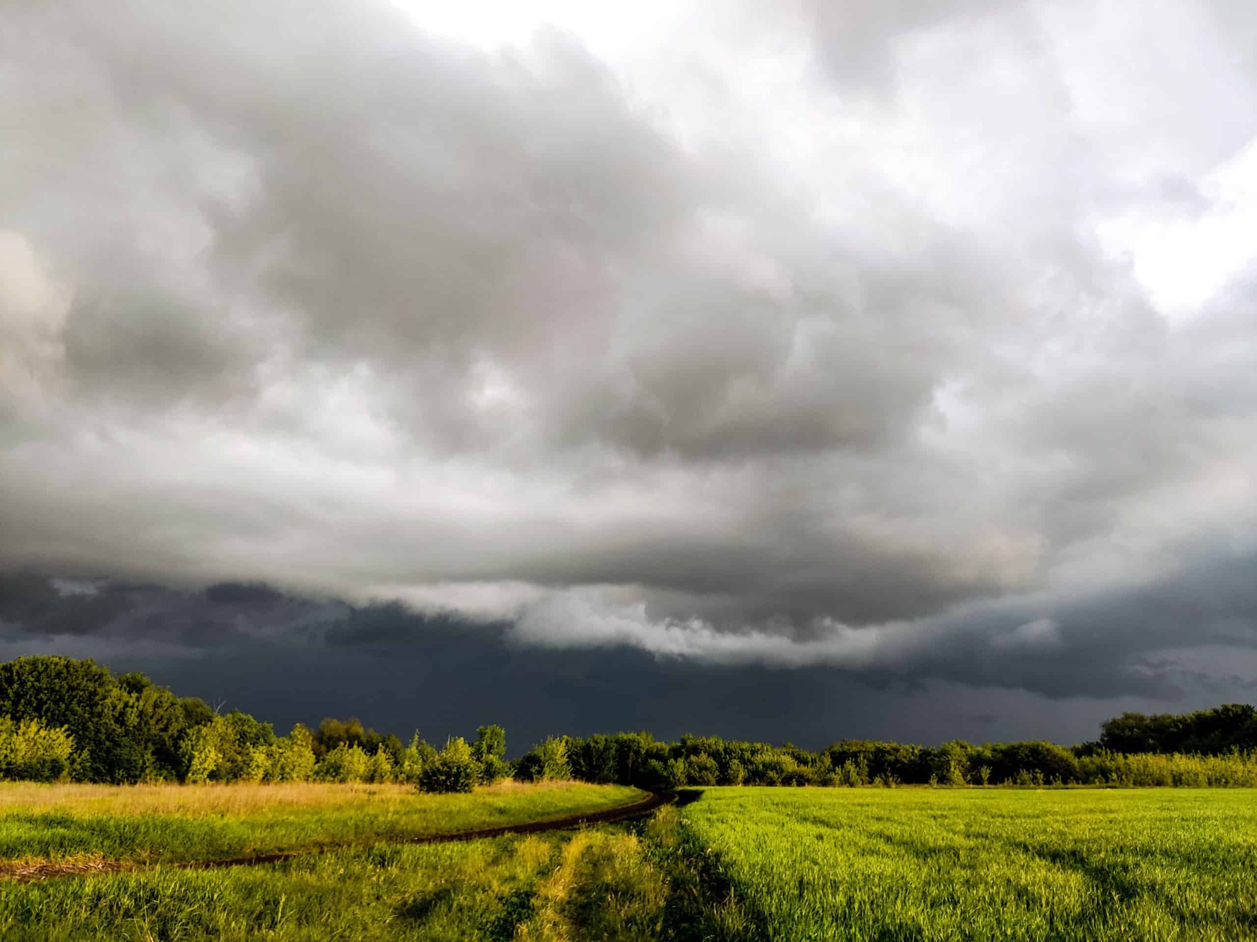 How July is shaping up weather-wise in southern Ontario