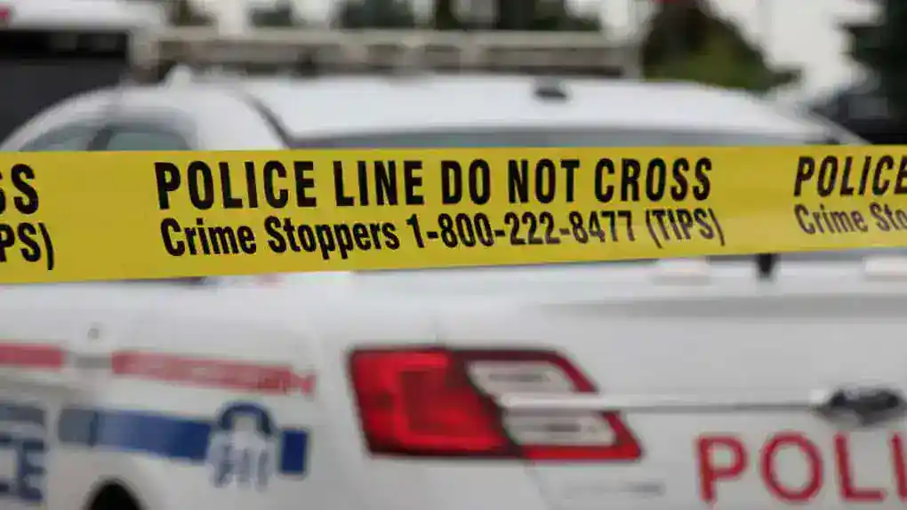Woman fatally struck by dump truck in Ajax.