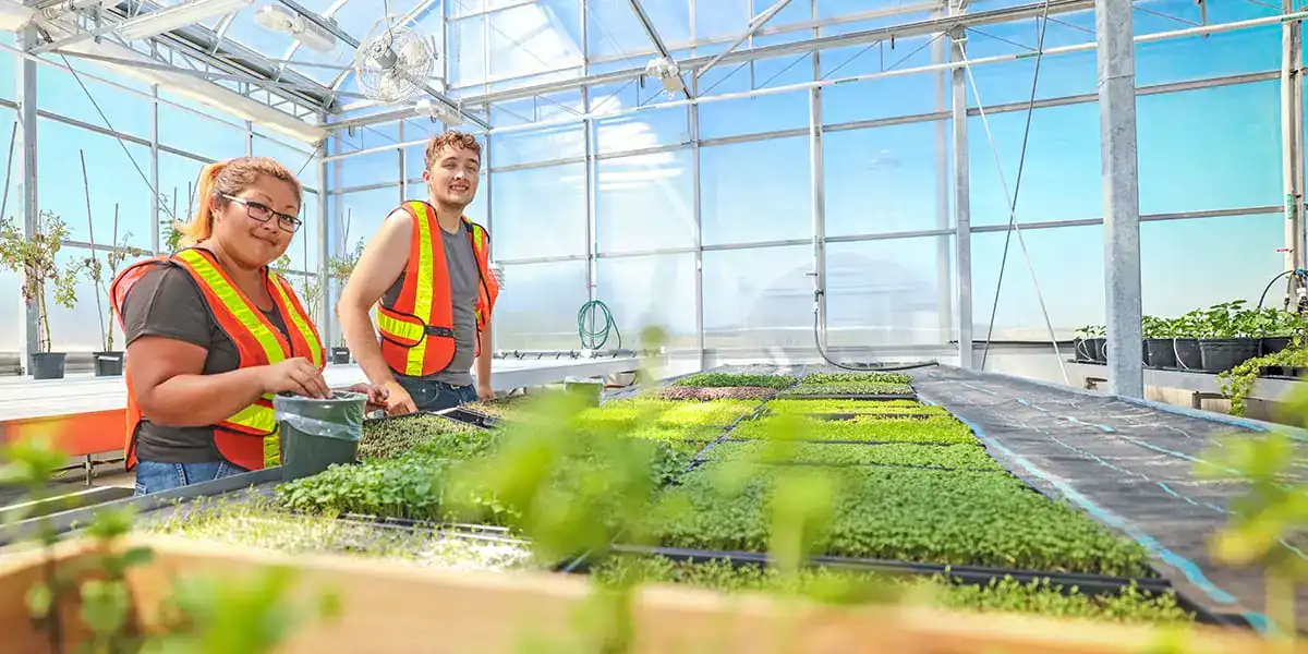 Barrett Centre Urban Farm is hosting an open house Thursday