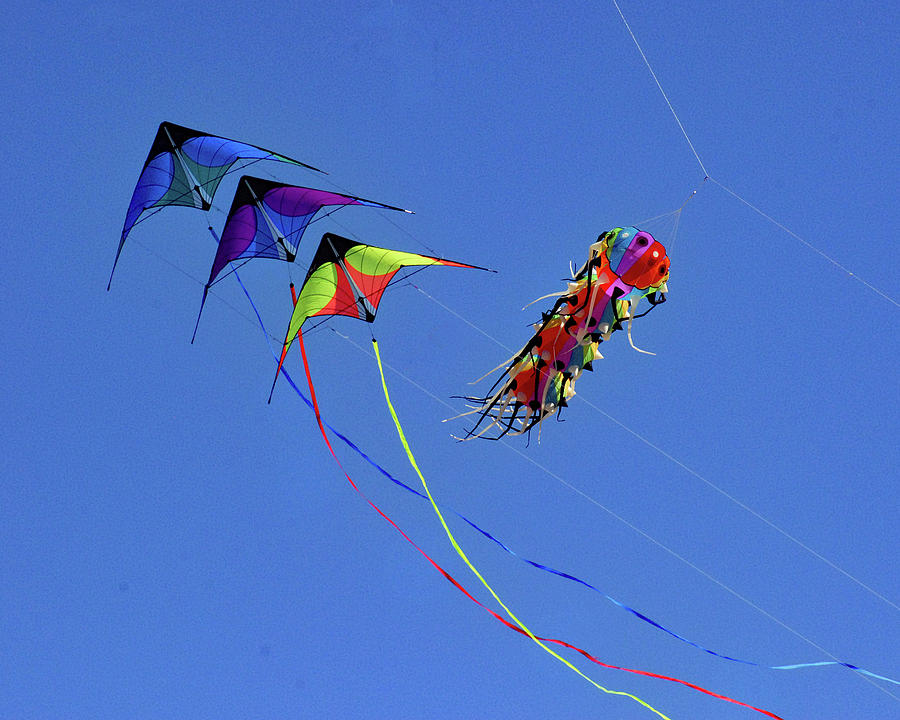 Kite flighting banned in local conservation areas